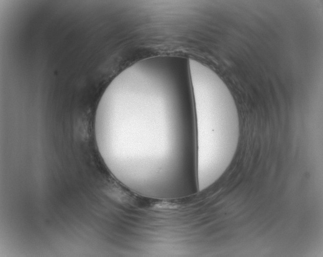 X0000073830515200608101005