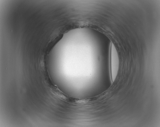 X0000073830516200608101005