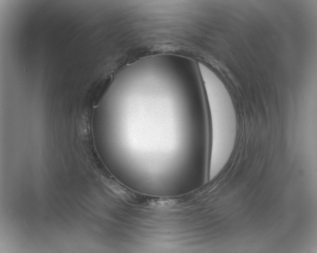 X0000073830517200608101005