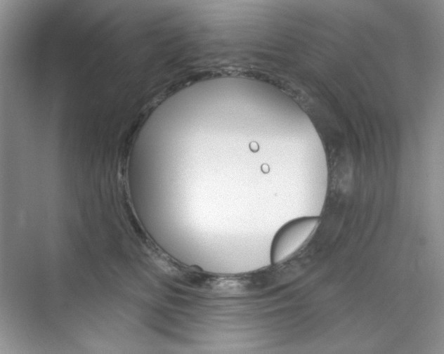 X0000073830518200608101005