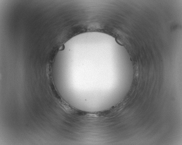 X0000073830519200608101005