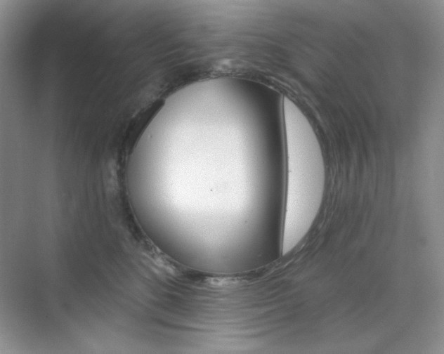 X0000073830520200608101005