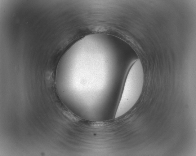 X0000073830521200608101005