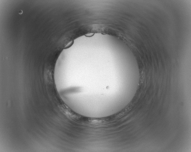 X0000073830522200608101005