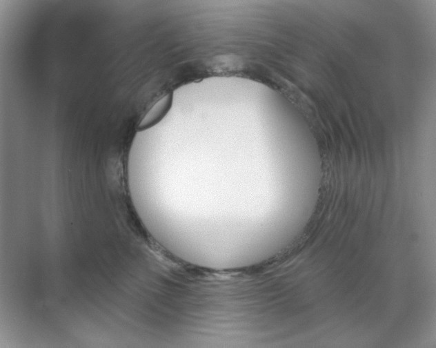 X0000073830523200608101005