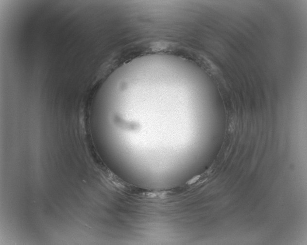 X0000073830524200608101004