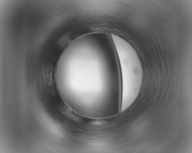 X0000073830525200608101004