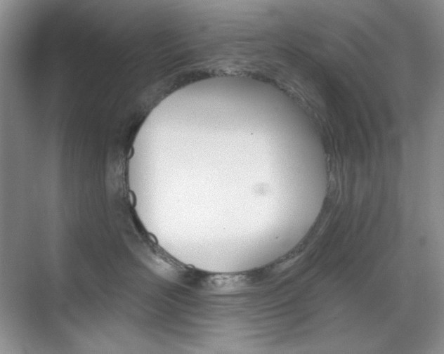 X0000073830526200608101004