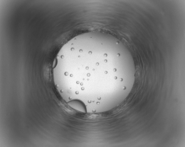 X0000073830527200608101004