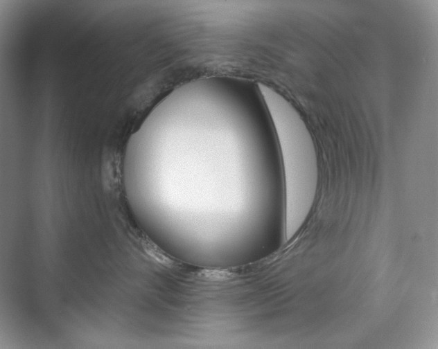 X0000073830528200608101004