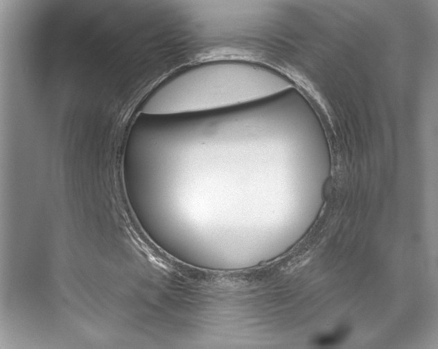 X0000073830529200608101004