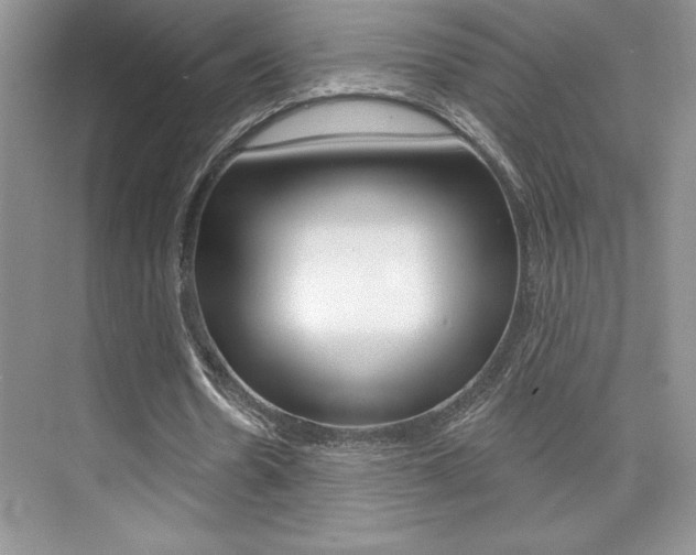 X0000073830530200608101004