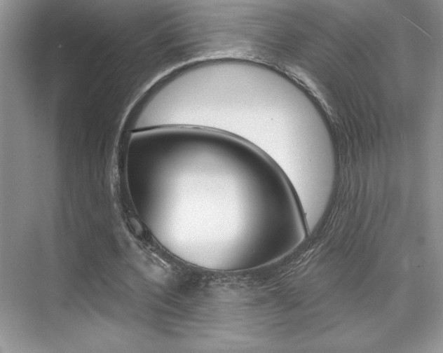 X0000073830532200608101004