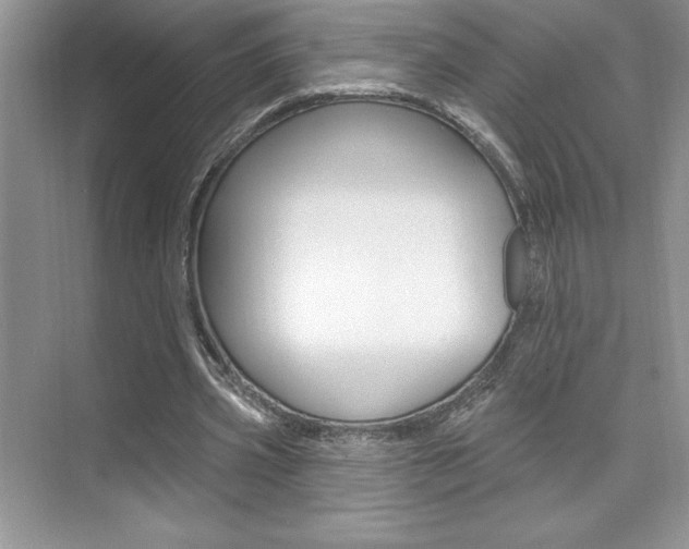 X0000073830533200608101004