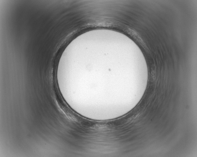 X0000073830534200608101004