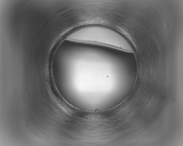 X0000073830535200608101004