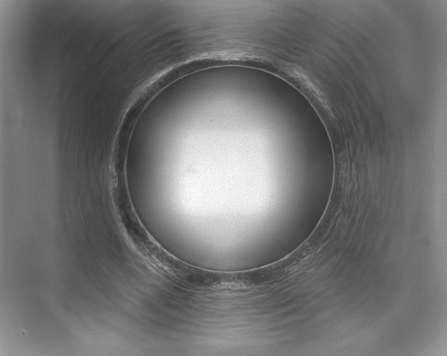 X0000073830536200608101004