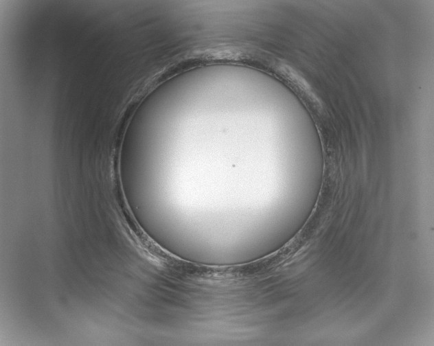 X0000073830537200608101004