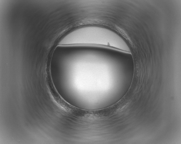 X0000073830538200608101004