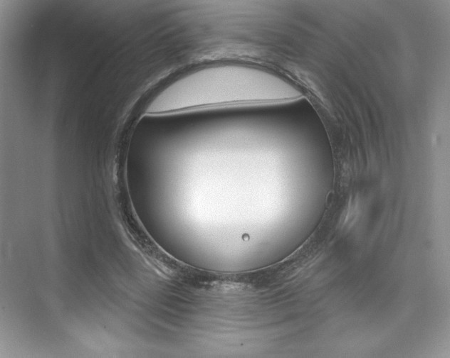 X0000073830539200608101004