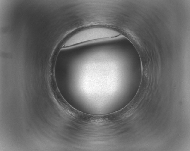 X0000073830540200608101004