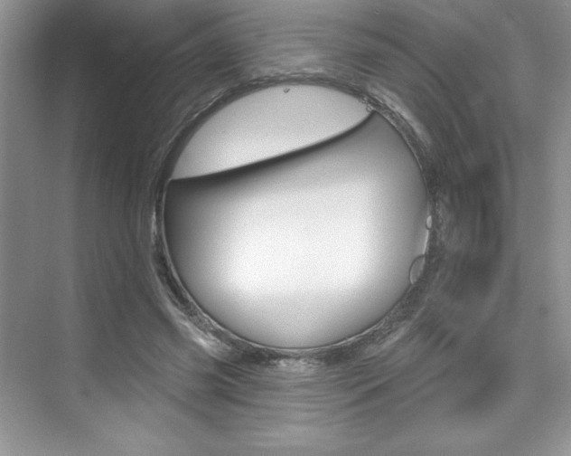 X0000073830541200608101004