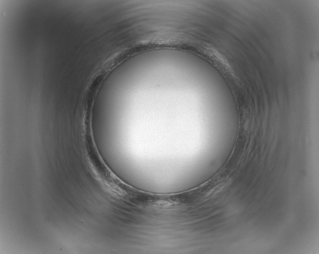 X0000073830542200608101004