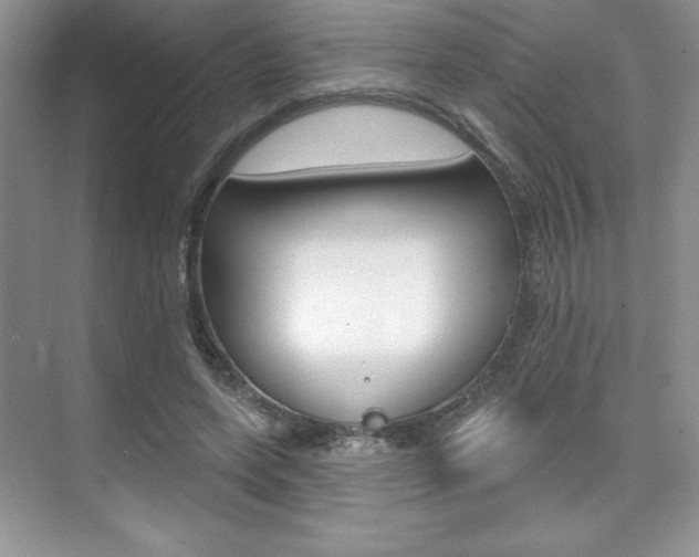 X0000073830543200608101004