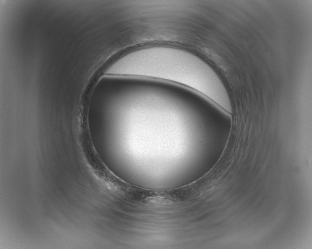 X0000073830544200608101004