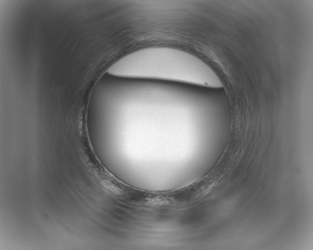 X0000073830545200608101004