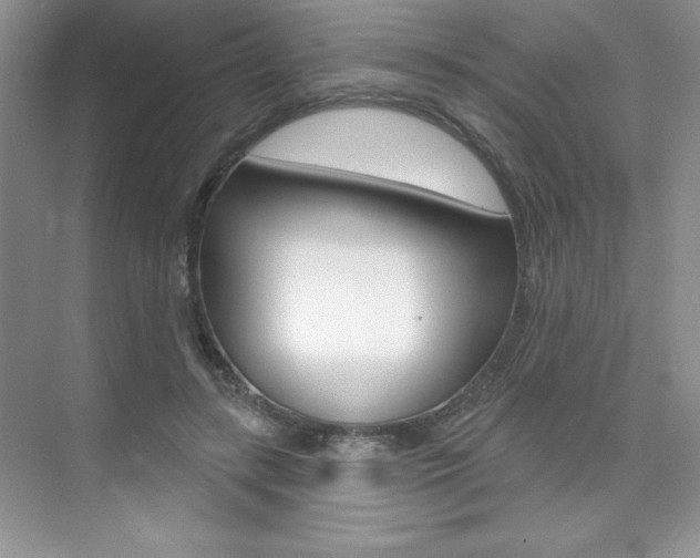 X0000073830547200608101004