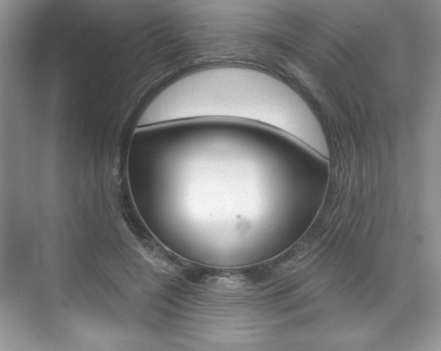 X0000073830548200608101004