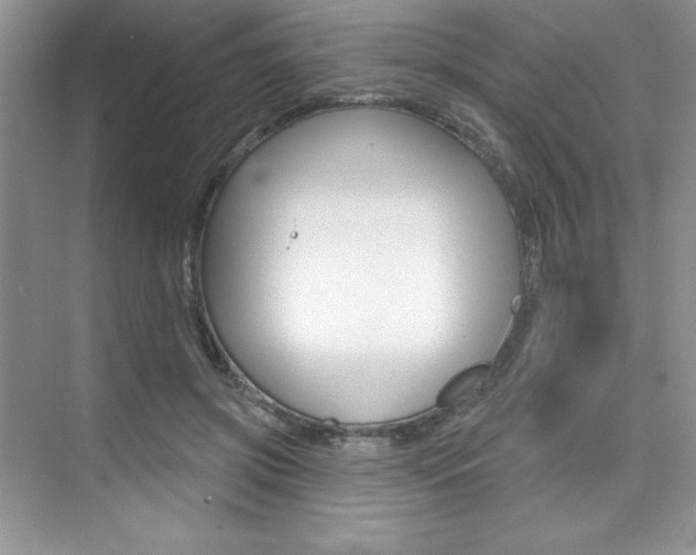 X0000073830549200608101004