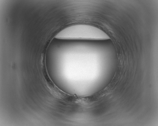 X0000073830550200608101004