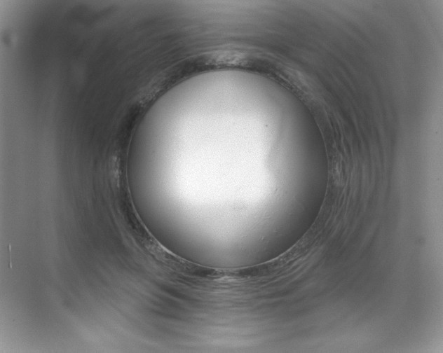 X0000073830551200608101004