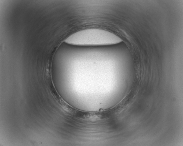 X0000073830553200608101004