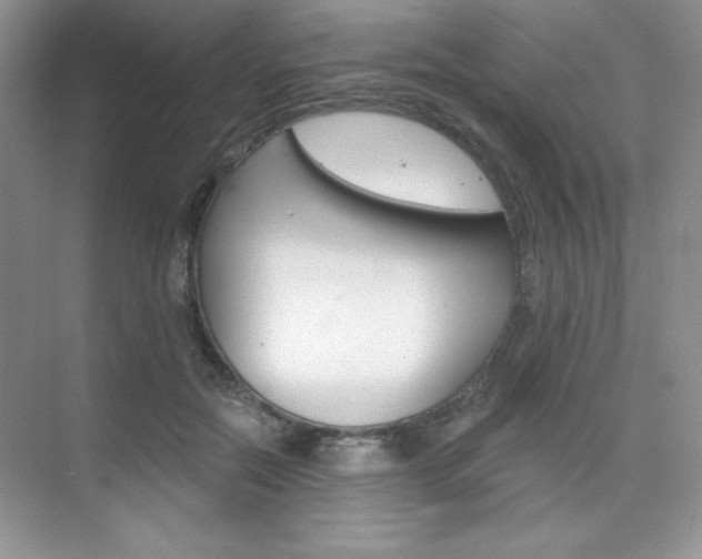 X0000073830554200608101004