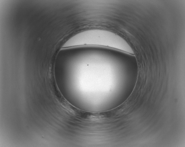 X0000073830556200608101004