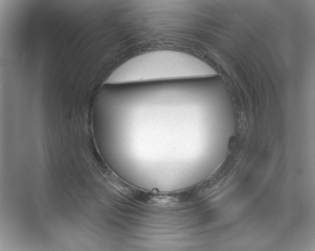 X0000073830557200608101004