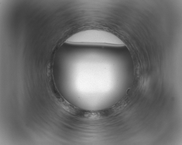 X0000073830559200608101004