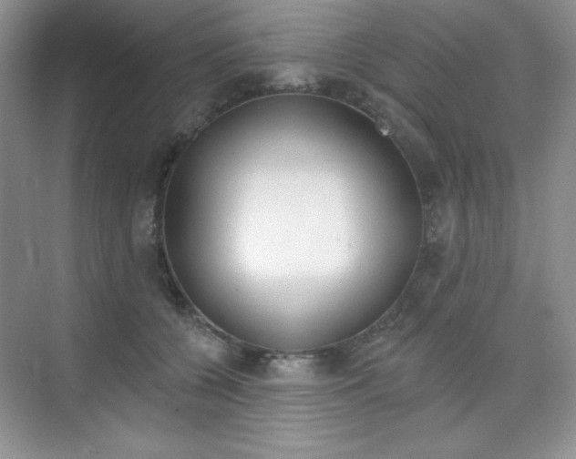 X0000073830560200608101004