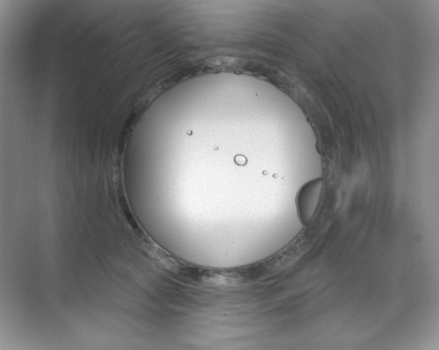 X0000073830561200608101004