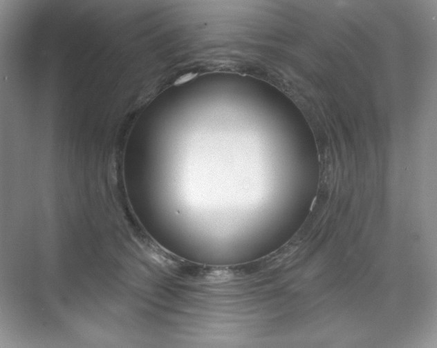 X0000073830562200608101004