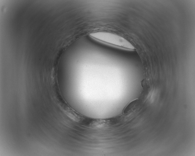 X0000073830563200608101004