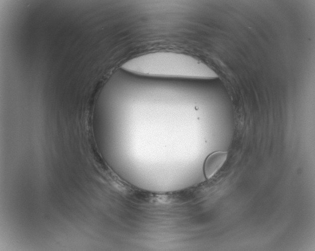 X0000073830565200608101004