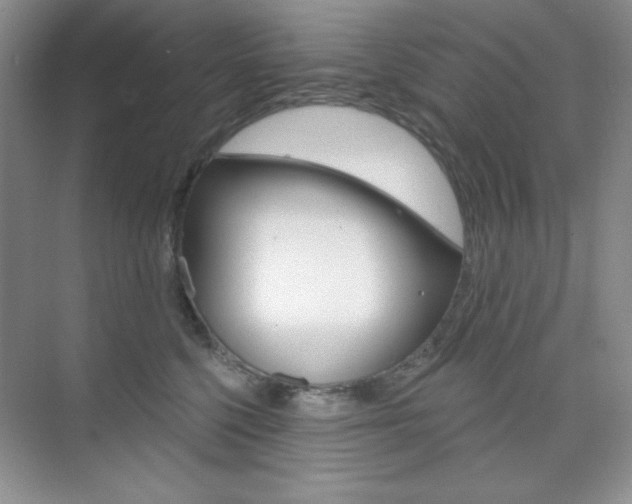 X0000073830568200608101004