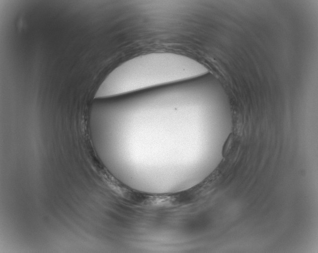 X0000073830569200608101004