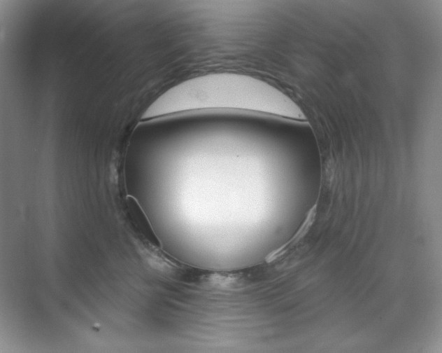 X0000073830570200608101004