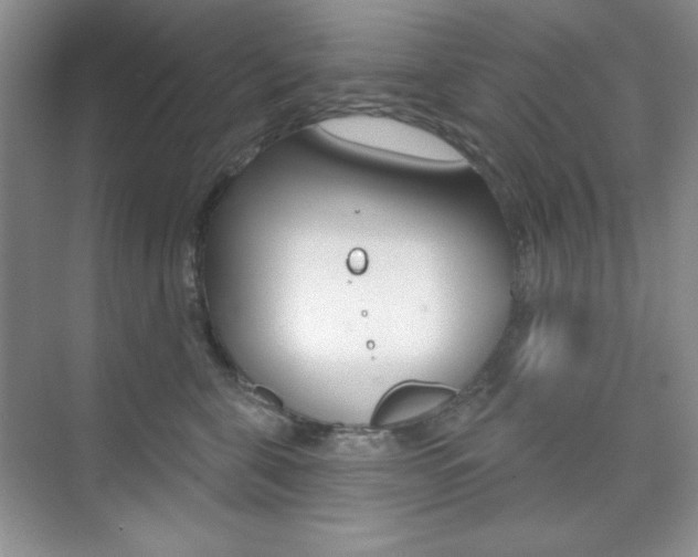 X0000073830571200608101004