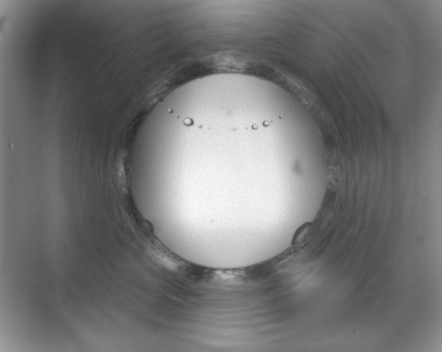 X0000073830573200608101004